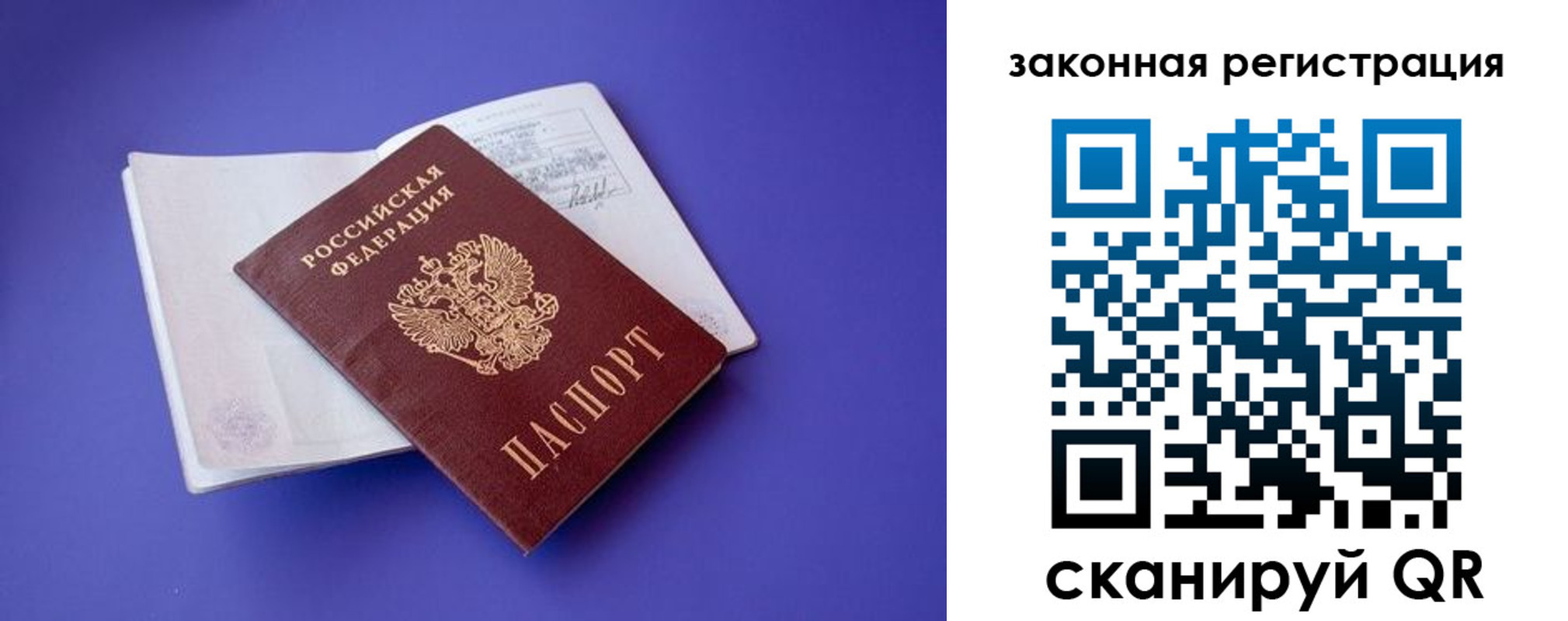 прописка штамп в Александровске